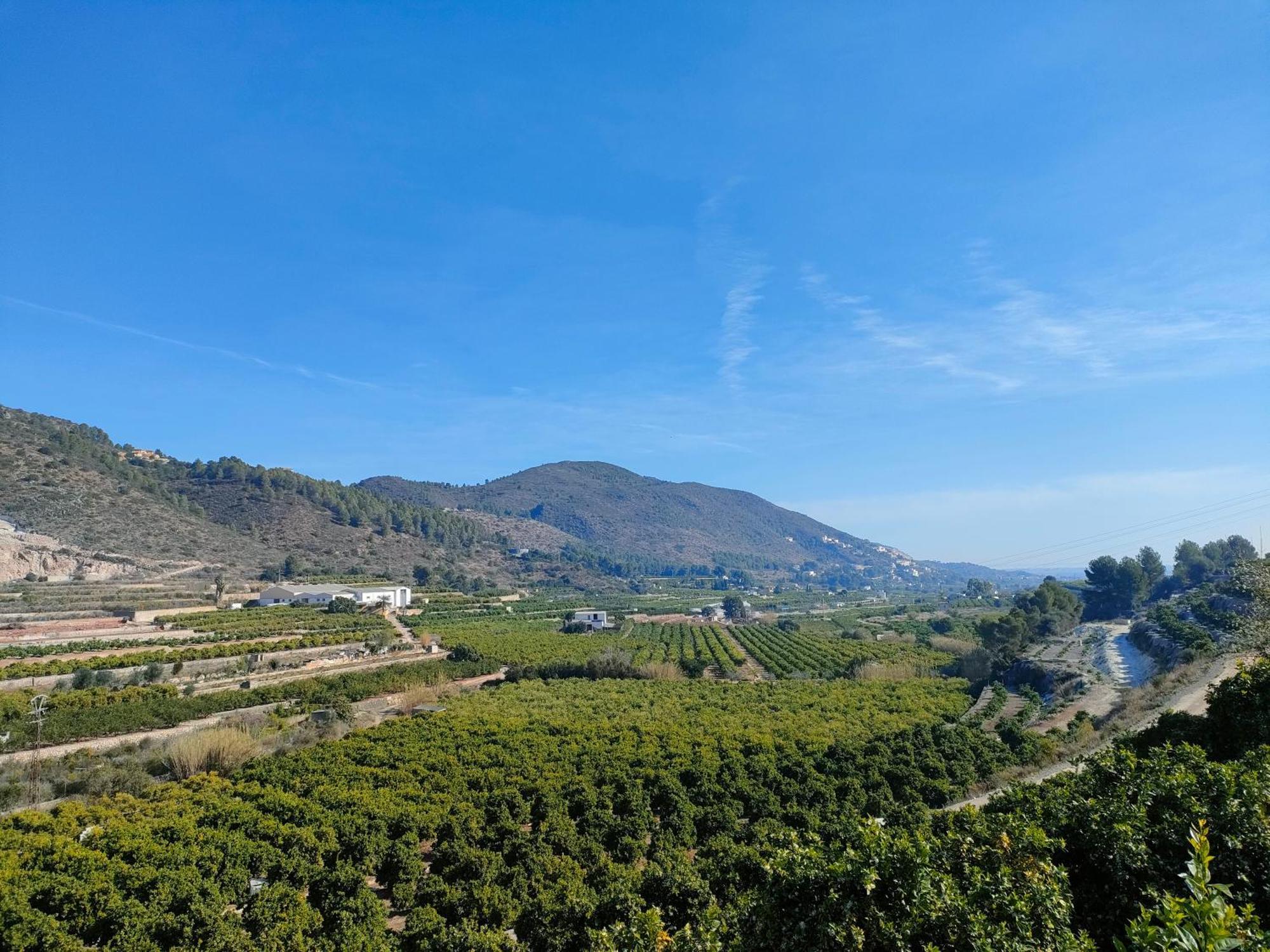 Casa Mayago, Terraza Y Solarium 페고 외부 사진